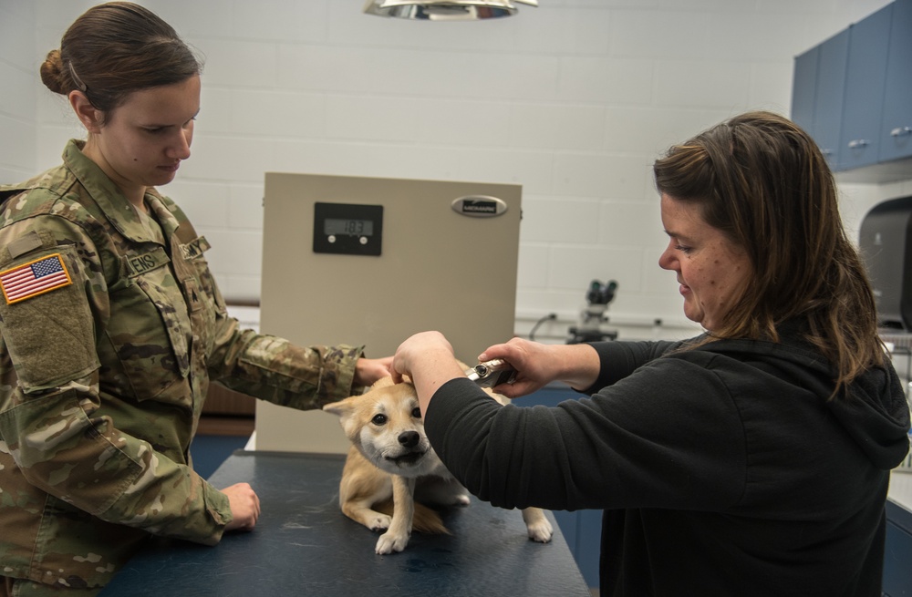 McConnell Veterinary Clinic