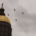 Georgia State Capitol Building