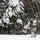 Snow, ice, and artillery