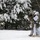 Snow, ice, and artillery