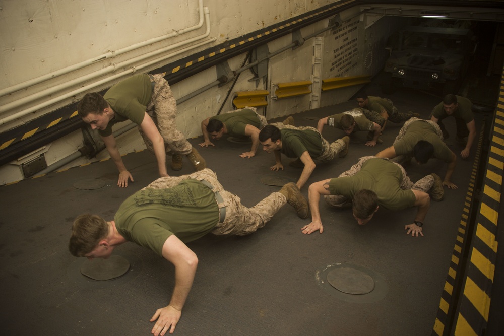 Marine Corps Martial Arts Program