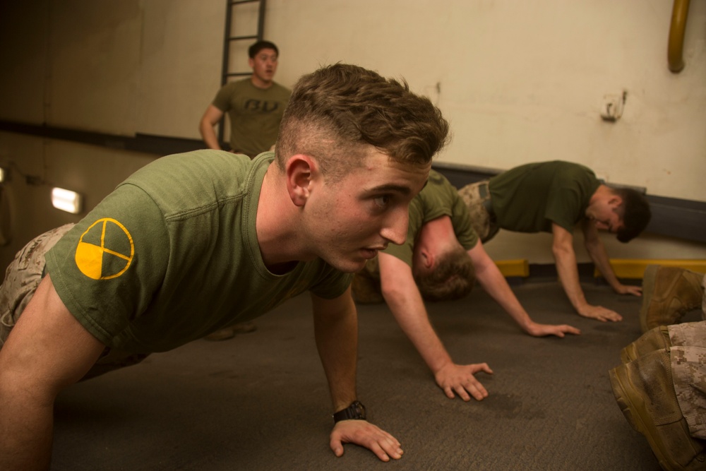 Marine Corps Martial Arts Program