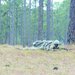 Joint training mission drives logistic, transportation development