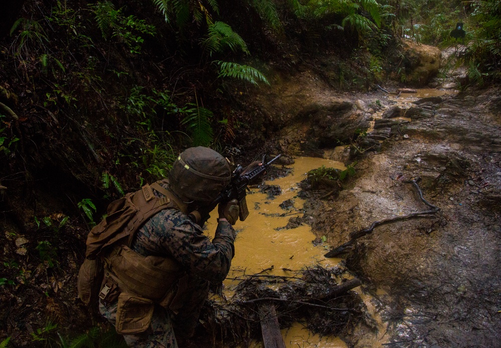 Pointman Reaction Course