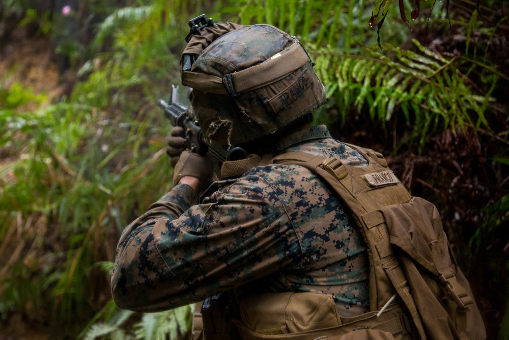 Pointman Reaction Course