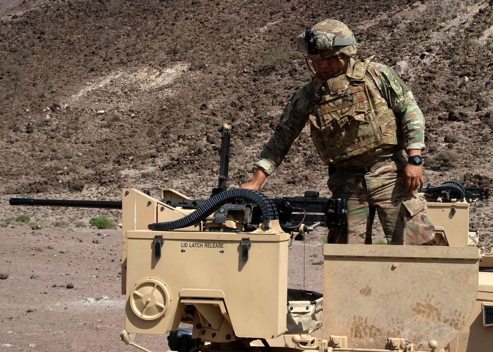 Task Force Alamo Range Day