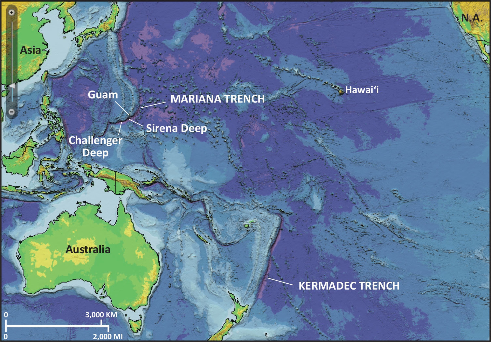 Занимаемая территория тихого океана. Тихий океан Марианский желоб. Марианская впадина на карте. Марианский жёлоб Океанические впадины. Марианская впадина на каре.