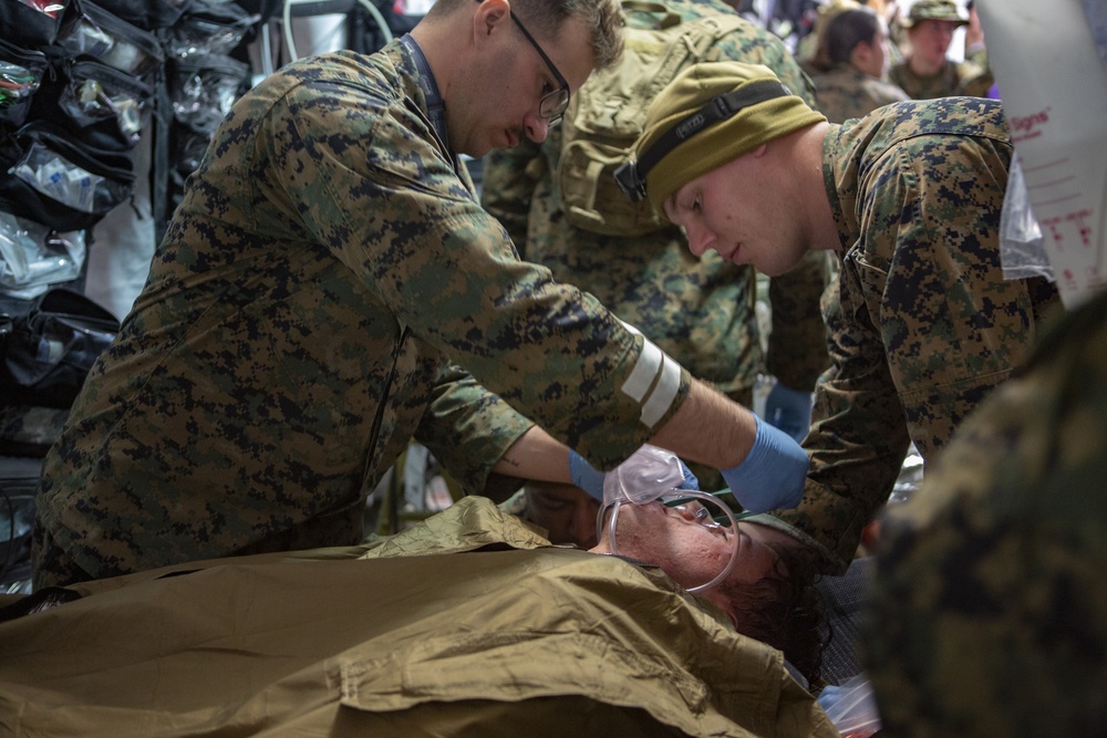 U.S. Marines and Sailors and Japan Ground Self-Defense Force Soldiers practice realistic combat medical training during Iron Fist.