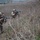 Two armed military personnel are moving through dense scrub brush in a tactical formation, with weapons raised in a ready position. The foreground soldier wears MARPAT (Marine pattern) camouflage and a tactical helmet with night-vision mount, while the background soldier wears a different camouflage pattern. The setting appears to be a training exercise based on the controlled environment and visible infrastructure in the background.