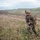 Two military personnel in full combat gear are moving rapidly through an open grassy field with rolling green hills in the background. The soldiers are wearing woodland MARPAT camouflage uniforms, tactical vests, and helmets equipped with night-vision device mounts, suggesting U.S. Marine Corps affiliation. The scene appears to depict a field training exercise in a temperate, hilly environment.