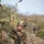 A U.S. Marine in full combat gear is running forward during what appears to be a military training exercise or field operation. The Marine is wearing MARPAT digital camouflage, a tactical vest, and a combat helmet with a mounted device, and is carrying an M4/M16-style rifle. Additional personnel and rocky terrain with cactus vegetation are visible in the background.