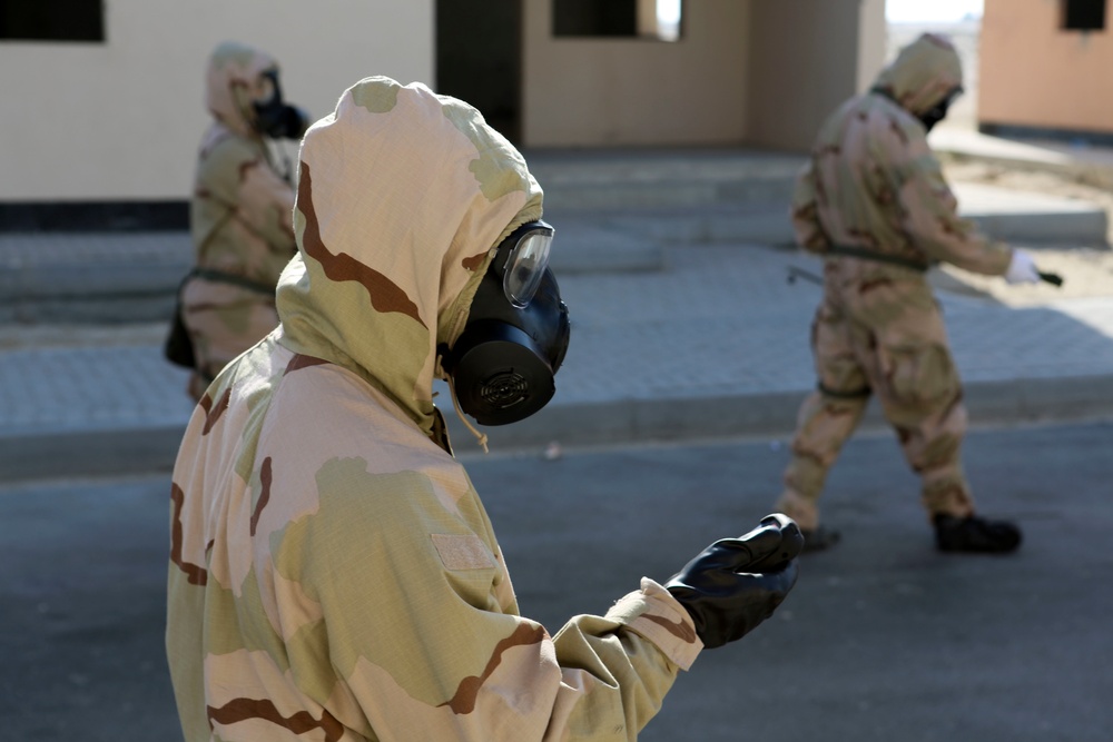 Chemical, Biological, Radiological, Nuclear, Subject Matter Expert Exchange