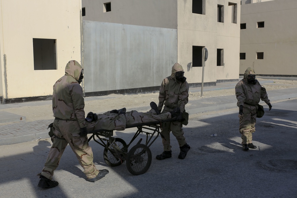 Chemical, Biological, Radiological, Nuclear, Subject Matter Expert Exchange