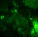 31st MEU MRF conducts night raid at Dogs of War Airsoft