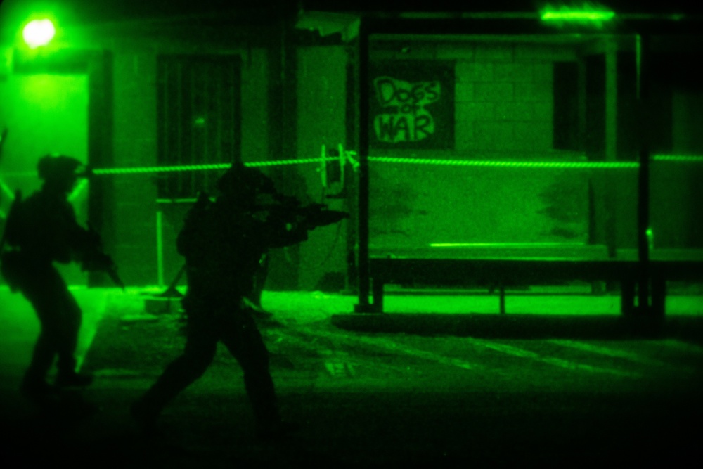 31st MEU MRF conducts night raid at Dogs of War Airsoft