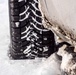Snow Tires