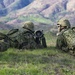 U.S. Marines and Japan Ground Self-Defense Force Soldiers participate in a combined arms live fire exercise during Iron Fist.