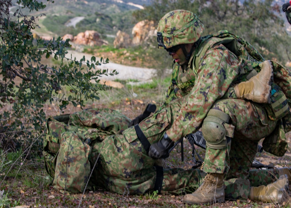 U.S. Marines and Japan Ground Self-Defense Force Soldiers participate in a combined arms live fire exercise during Iron Fist.