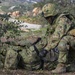 U.S. Marines and Japan Ground Self-Defense Force Soldiers participate in a combined arms live fire exercise during Iron Fist.