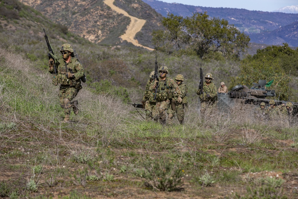 U.S. Marines and Japan Ground Self-Defense Force Soldiers participate in a combined arms live fire exercise during Iron Fist.