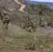 U.S. Marines and Japan Ground Self-Defense Force Soldiers participate in a combined arms live fire exercise during Iron Fist.