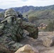 U.S. Marines and Japan Ground Self-Defense Force Soldiers participate in a combined arms live fire exercise during Iron Fist.