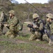 U.S. Marines and Japan Ground Self-Defense Force Soldiers participate in a combined arms live fire exercise during Iron Fist.