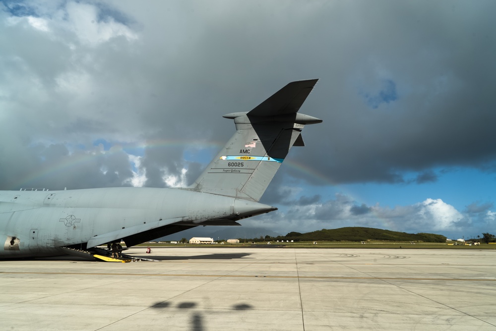 Patriot Palm 2019 C-5 On-load