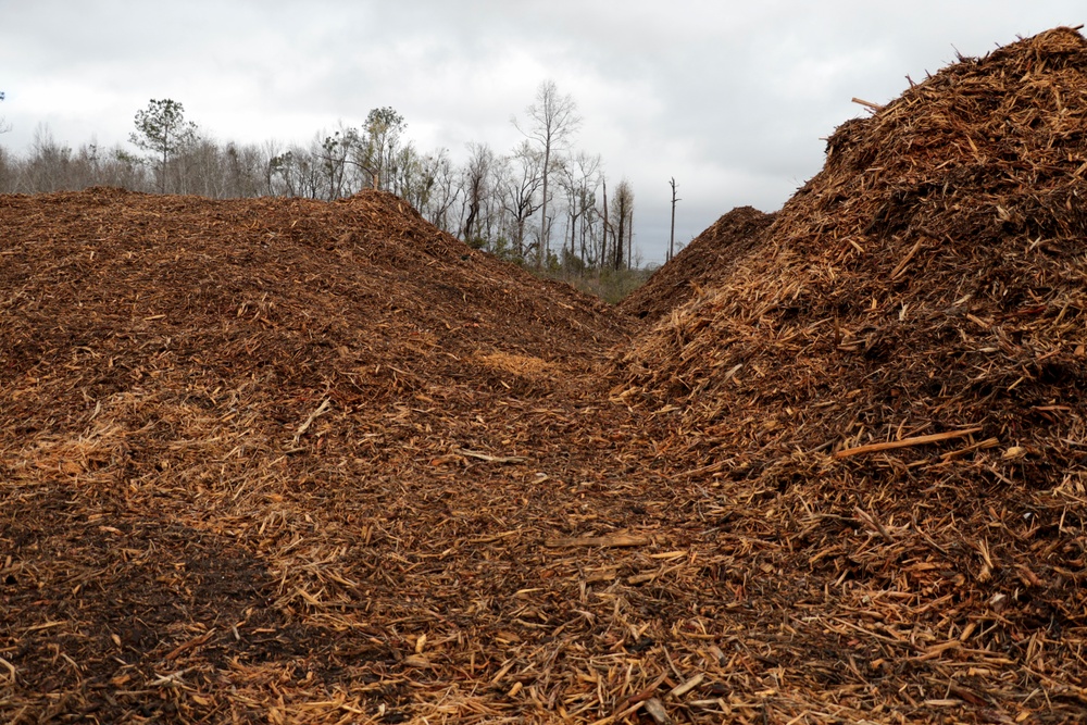 Sandpit compliance visit