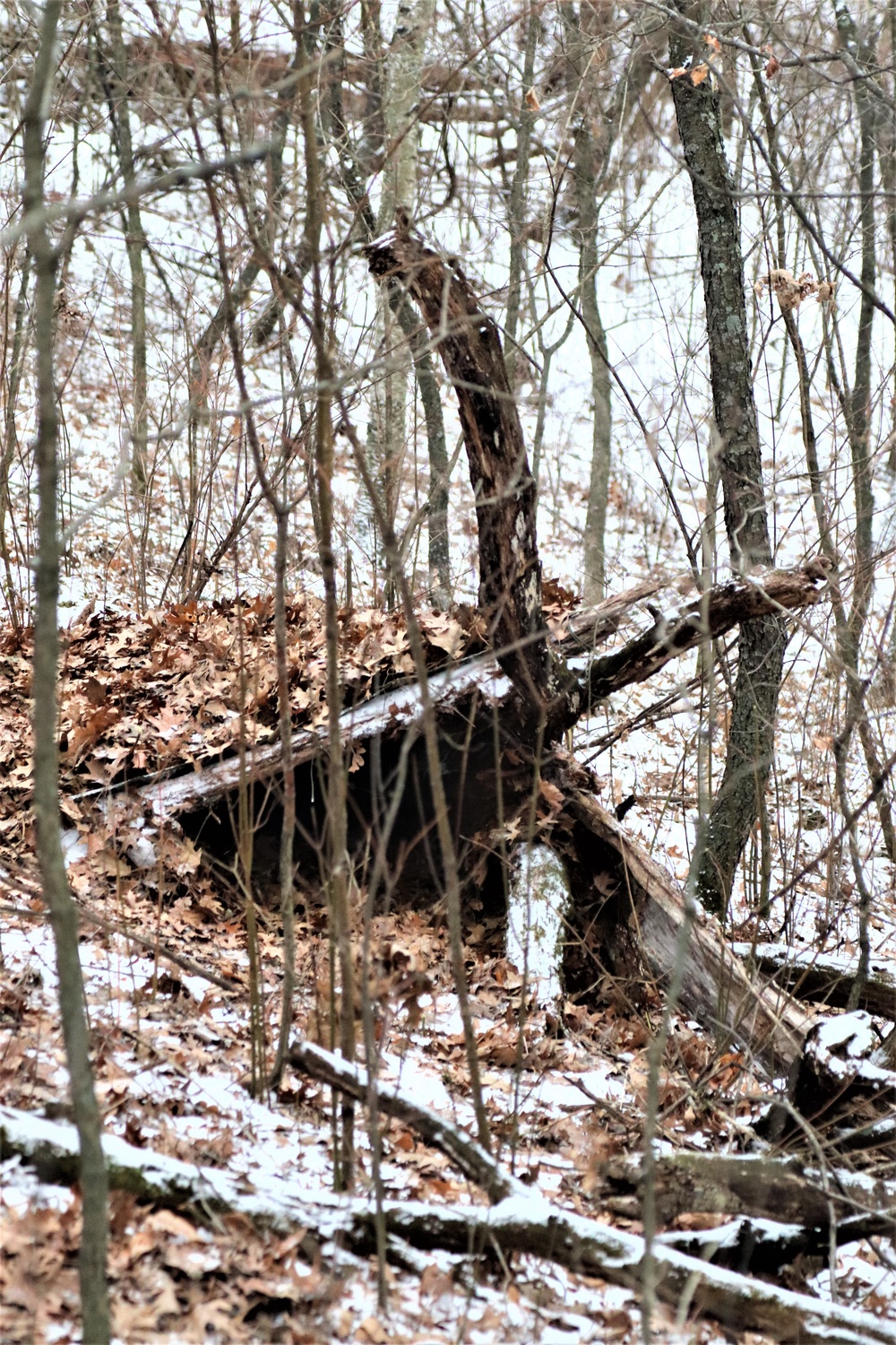 Cold-Weather Operations Course students build improvised shelters, survive outdoors