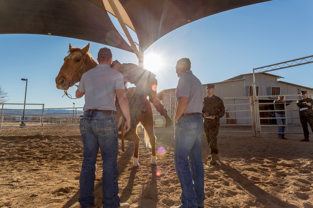 Major General Coglianese visits MCLB Barstow