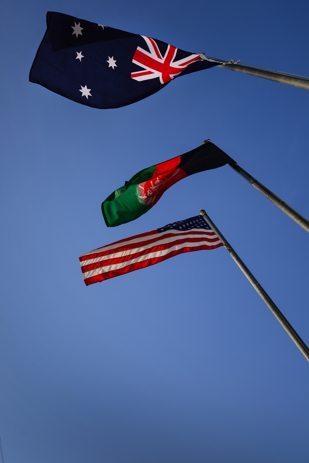 Australia Day in Kabul, Afghanistan