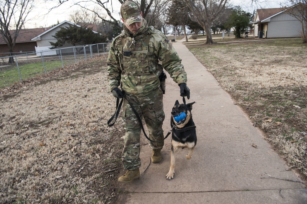 Military Working Dog Training