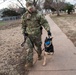 Military Working Dog Training