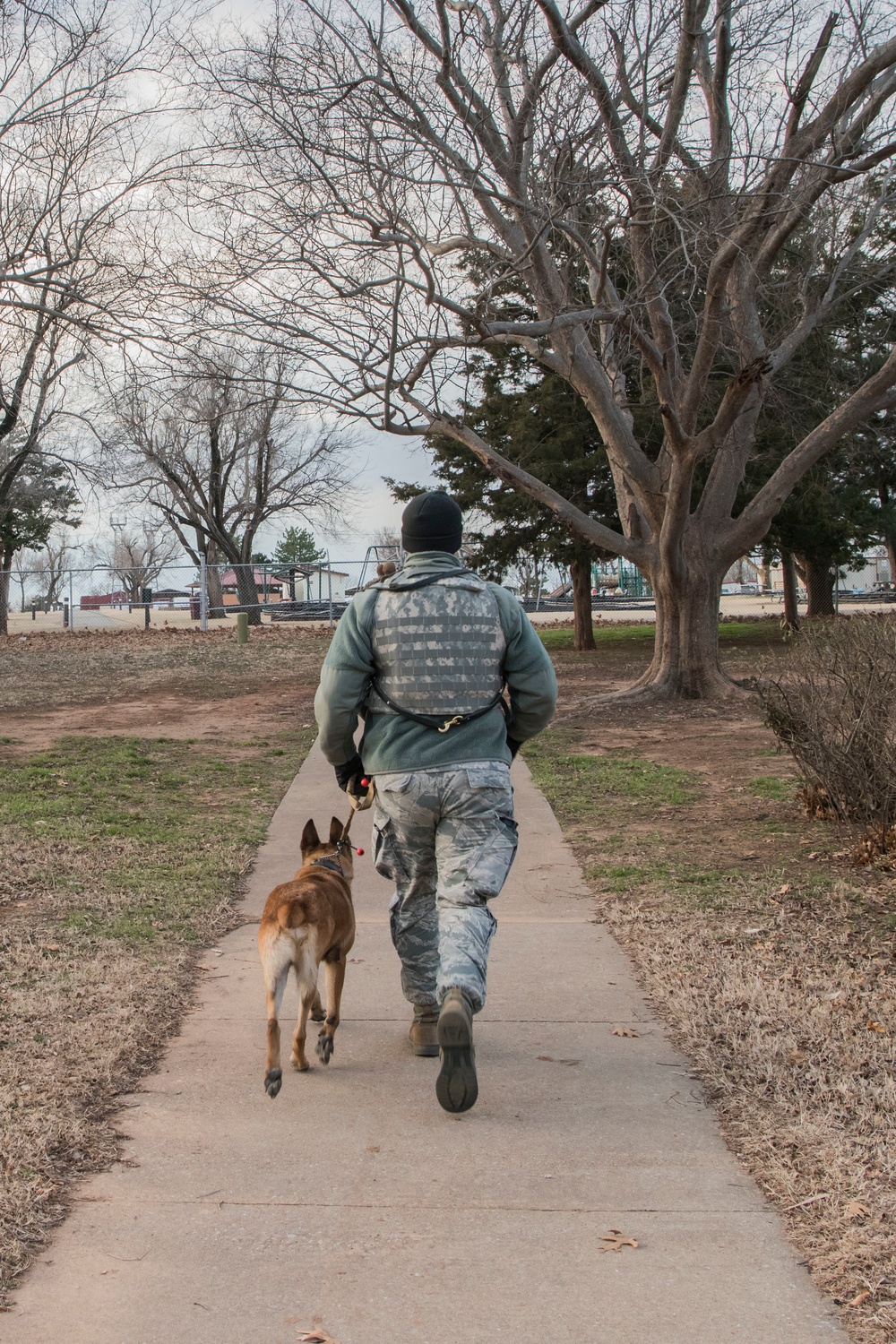 Military Working Dog Training