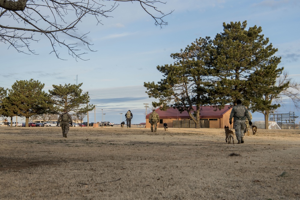 Military Working Dog Training