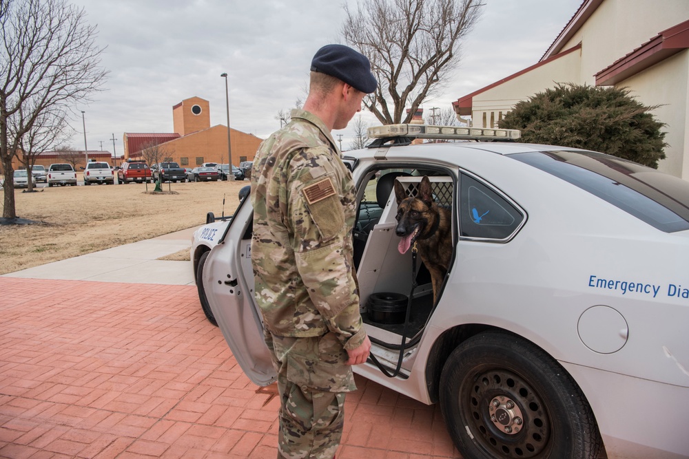 Military Working Dog Training