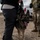 Military Working Dog Training Military Working Dog Training