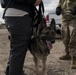 Military Working Dog Training