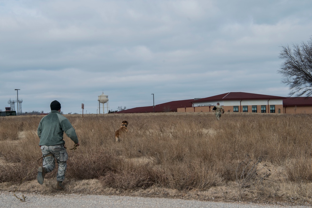 Military Working Dog Training