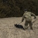 Military Working Dog Training