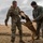Military Working Dog Training Military Working Dog Training
