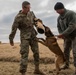 Military Working Dog Training