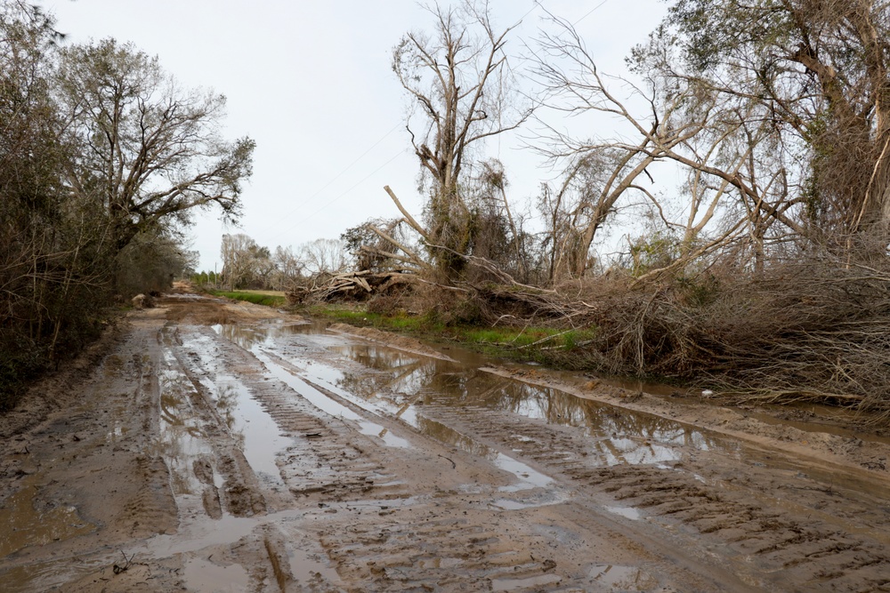 Willis Cook Road temporary disposal and reduction site