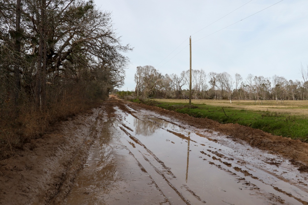 Willis Cook Road temporary disposal and reduction site