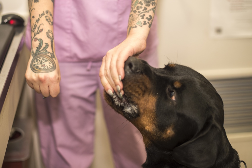 Treats for the patient
