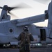 USS Wasp conducts night flight operations