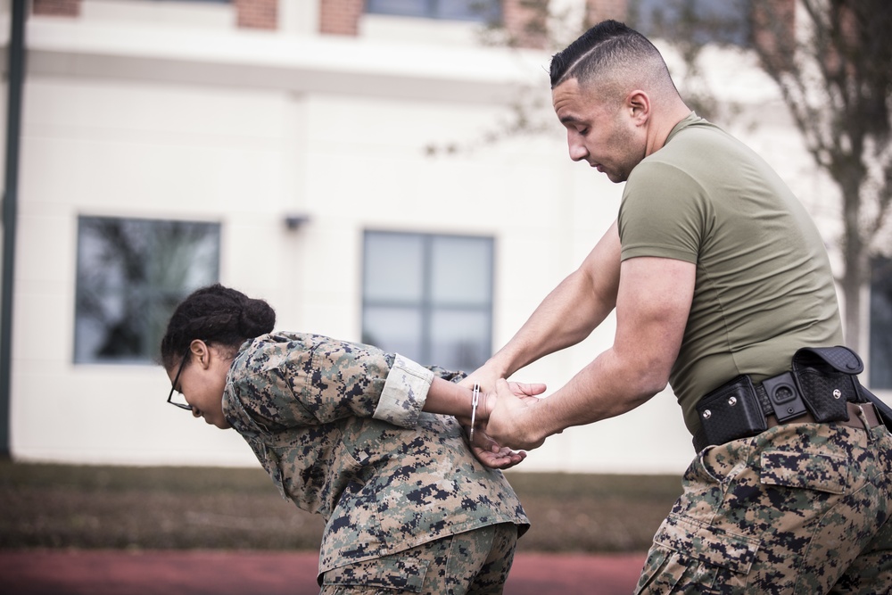 Security Augmentation Force Training