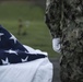 January 28, 2019 Disinterment