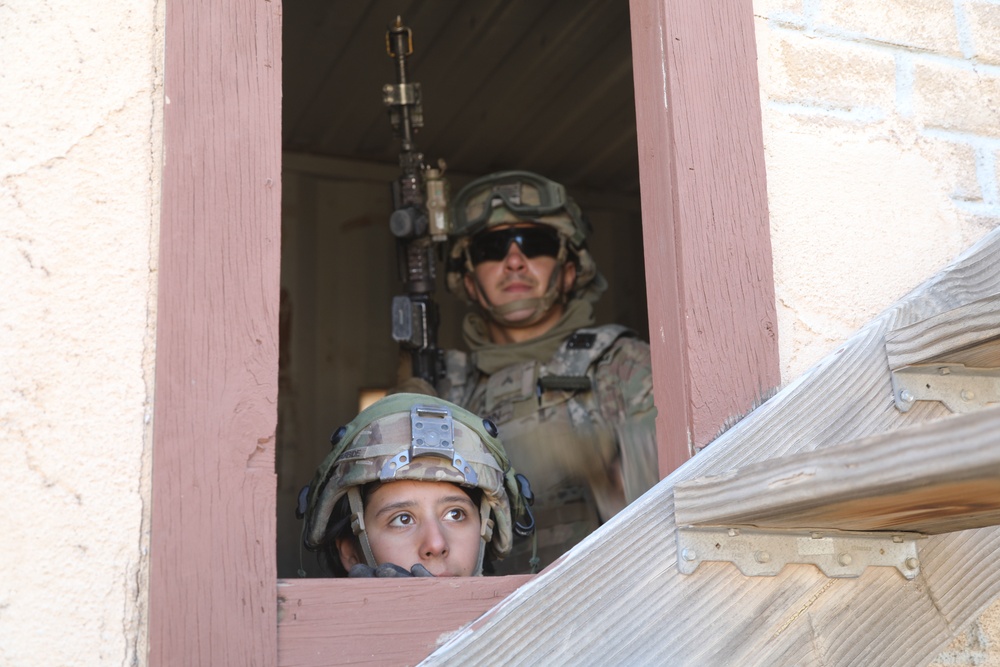 Decisive Action Rotation 19-03